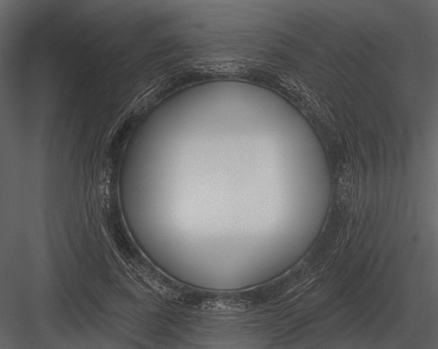 X0000082930739200702222219