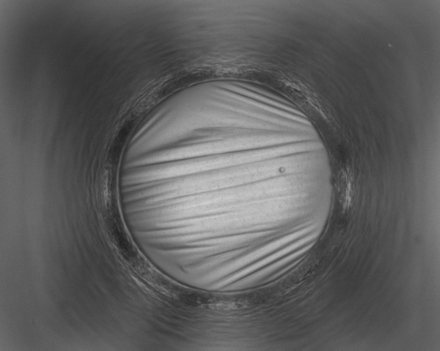 X0000082930740200702222219