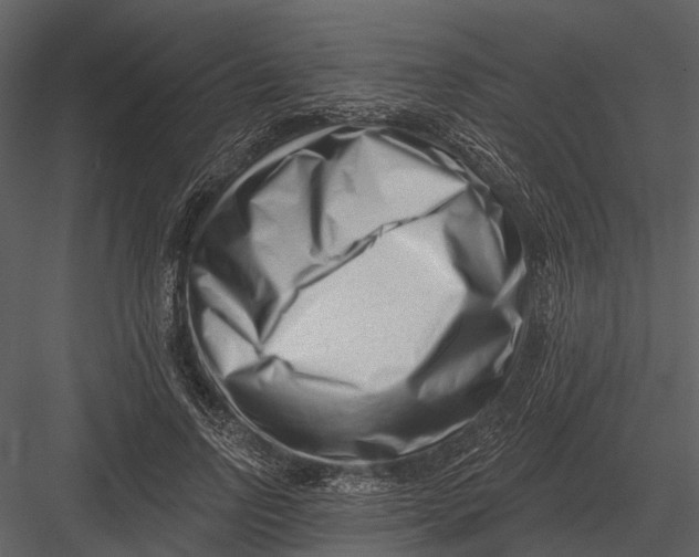 X0000082930742200702222219