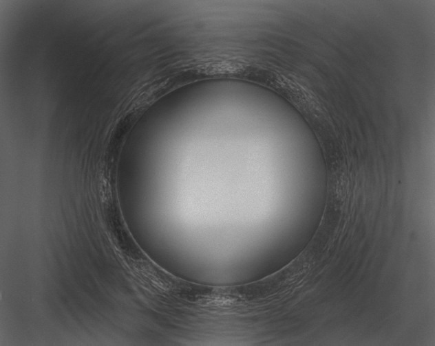 X0000082930743200702222219