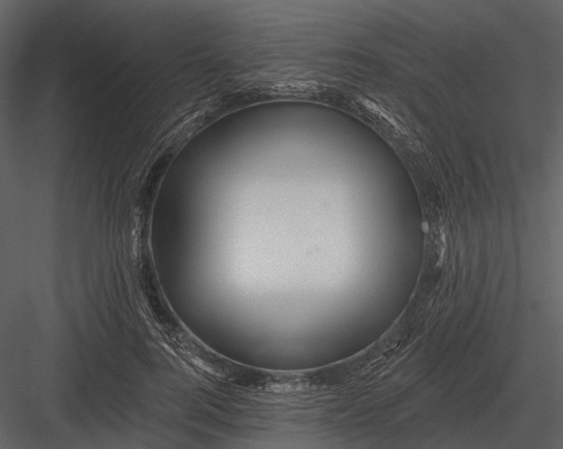 X0000082930744200702222219