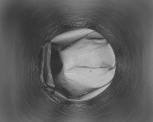 X0000082930745200702222219