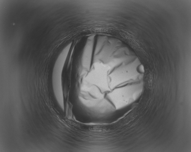 X0000082930746200702222219