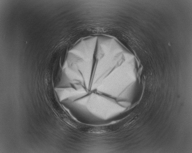 X0000082930747200702222219