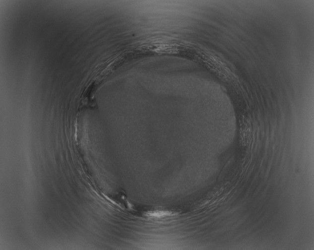 X0000082930748200702222219