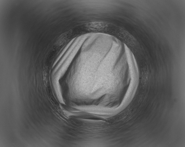 X0000082930749200702222219