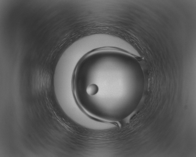 X0000082930750200702222219