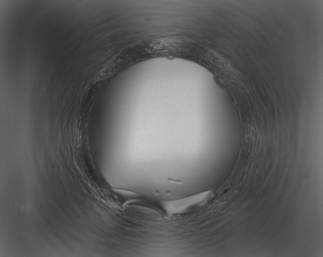 X0000082930751200702222219