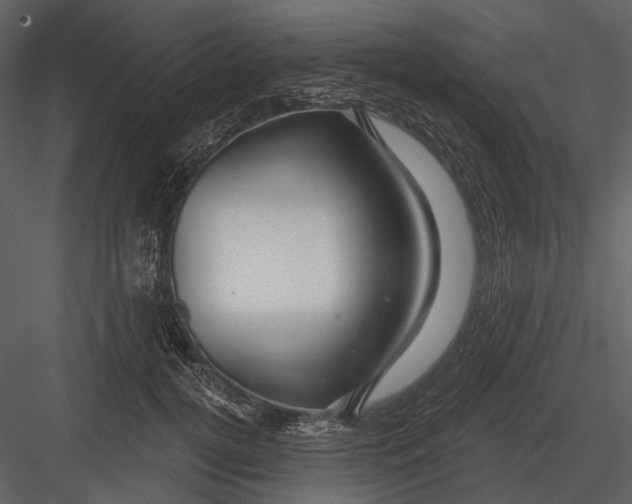 X0000082930752200702222219