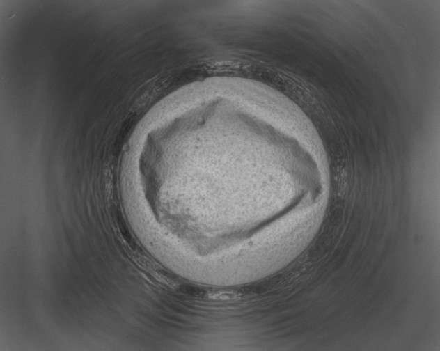 X0000082930753200702222219