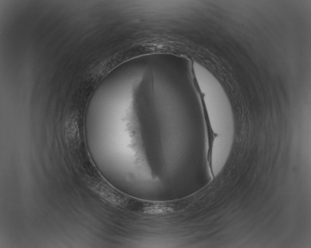 X0000082930754200702222219