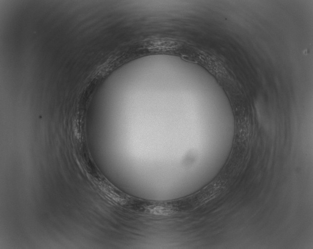 X0000082930755200702222219