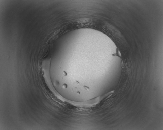 X0000082930756200702222219