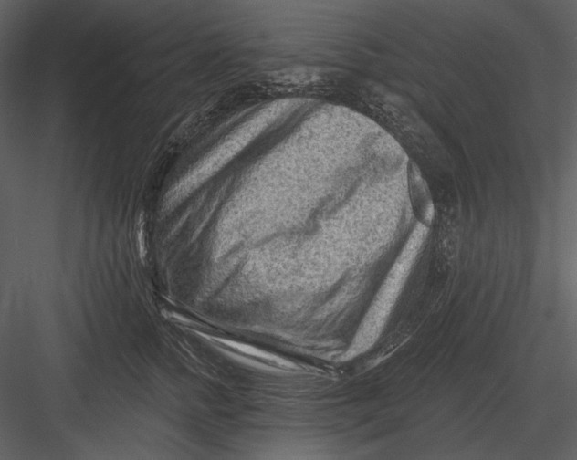 X0000082930758200702222219