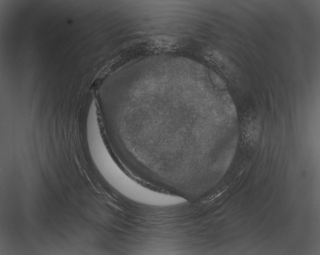 X0000082930759200702222219