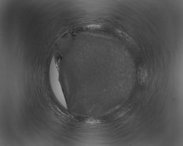 X0000082930760200702222219