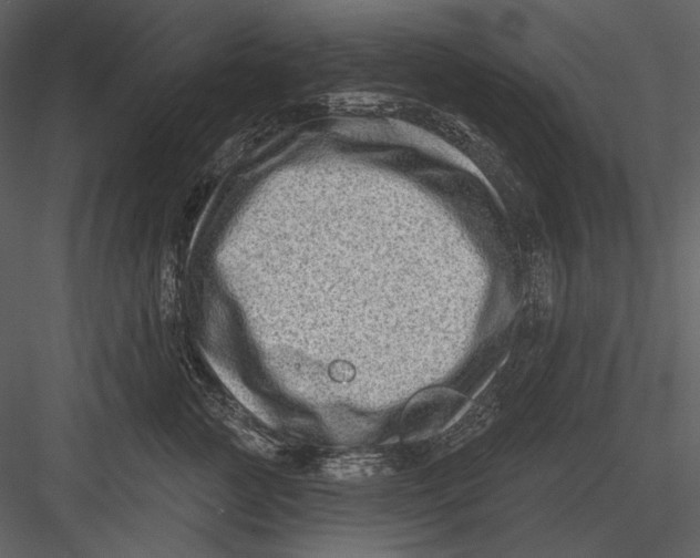 X0000082930761200702222219