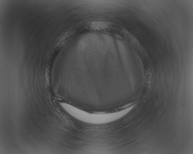 X0000082930762200702222219