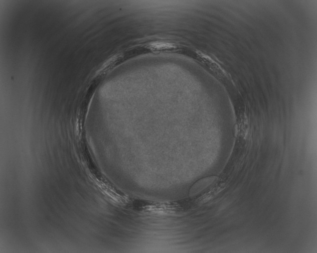 X0000082930763200702222219