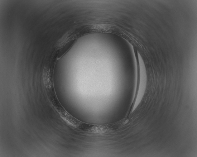 X0000082930764200702222219