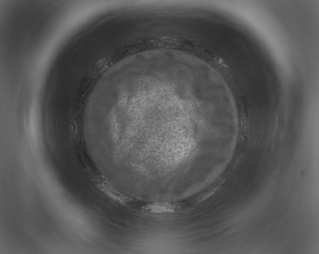 X0000082930765200702222219