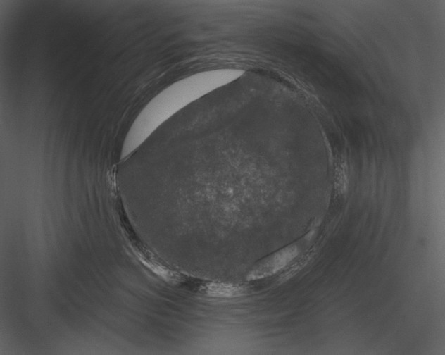 X0000082930766200702222219