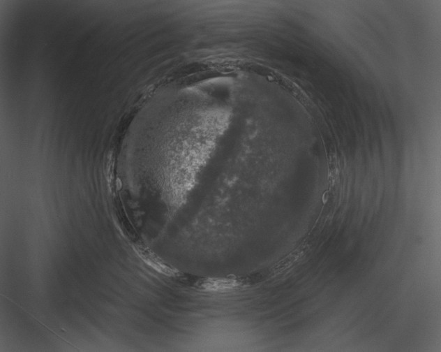 X0000082930767200702222219