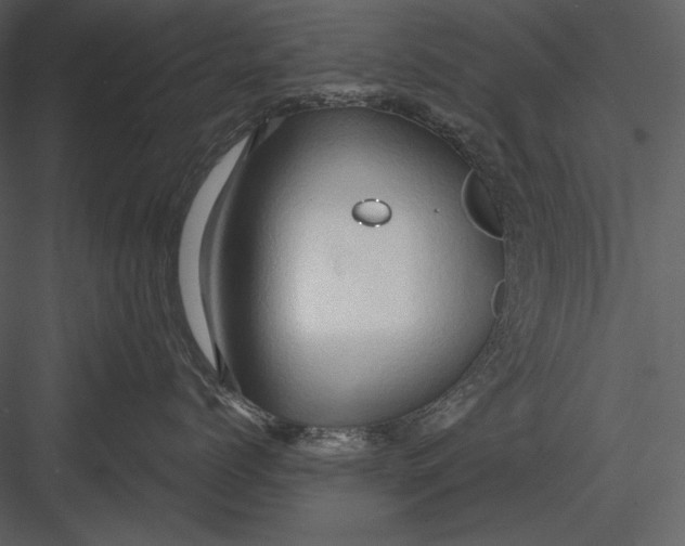 X0000082930768200702222219