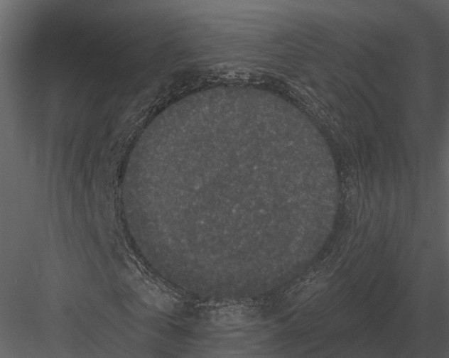 X0000082930769200702222218