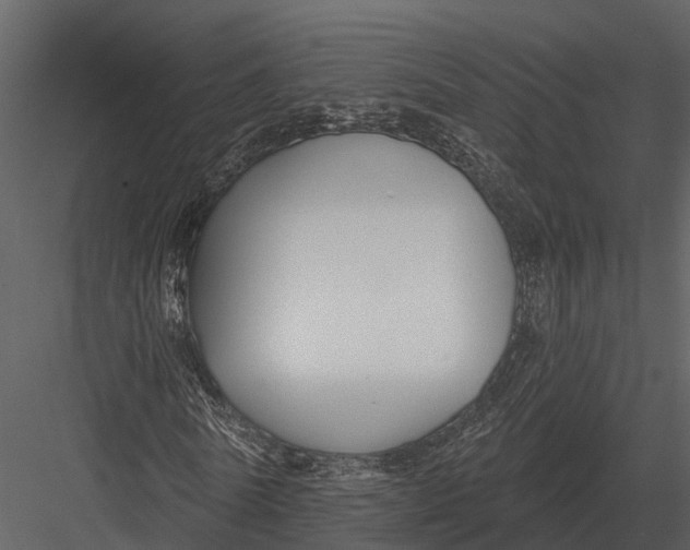 X0000082930770200702222218