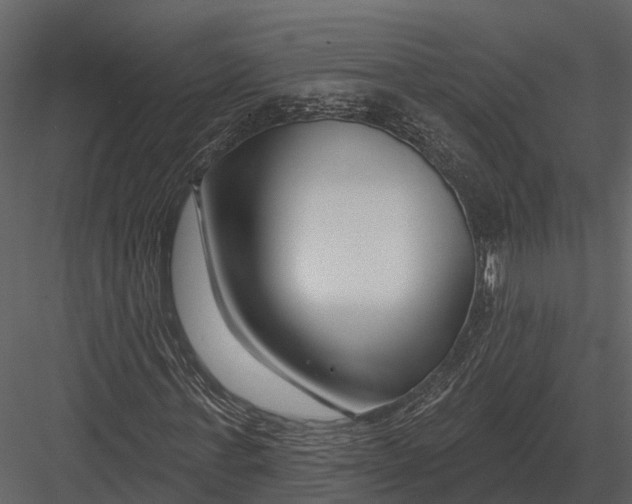 X0000082930771200702222218