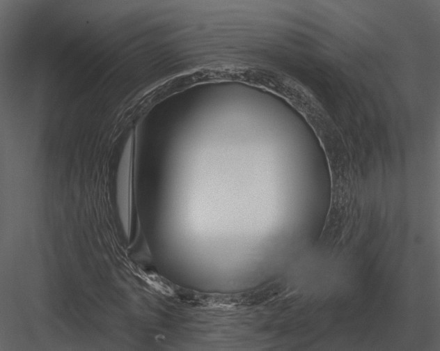 X0000082930773200702222218