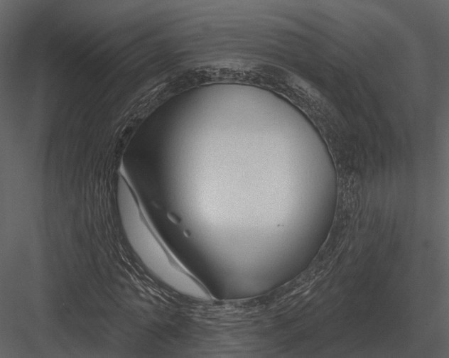 X0000082930774200702222218