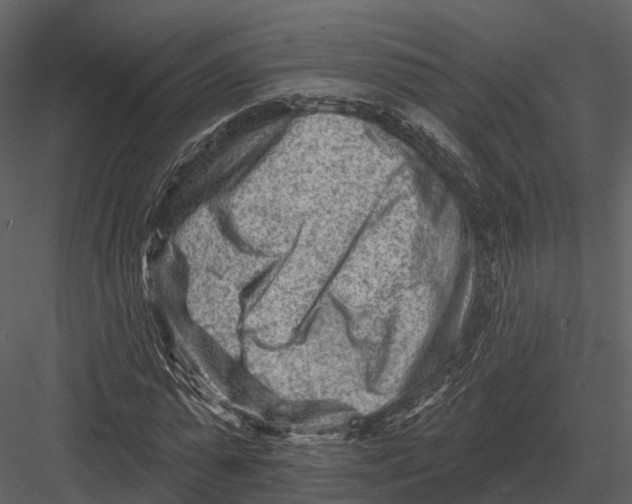 X0000082930775200702222218