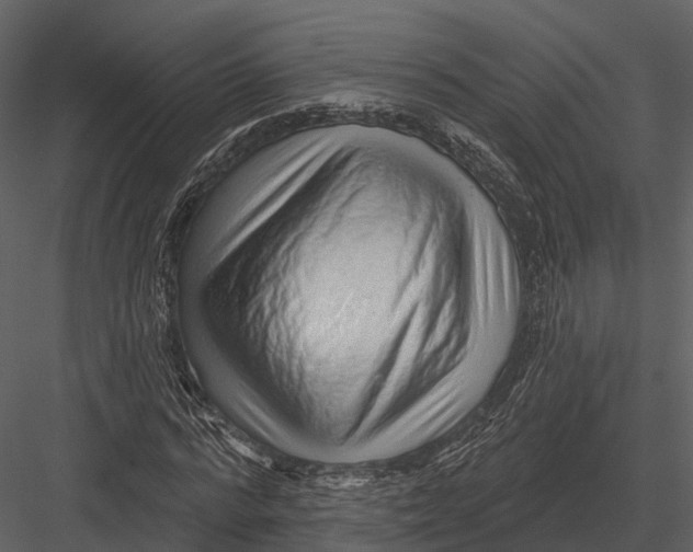 X0000082930776200702222218