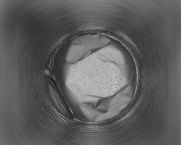 X0000082930777200702222218