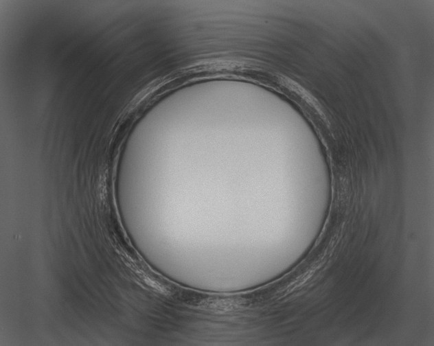 X0000082930778200702222218