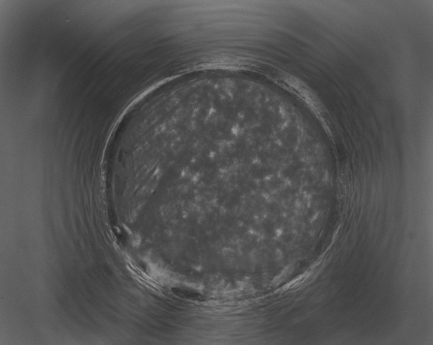 X0000082930779200702222218