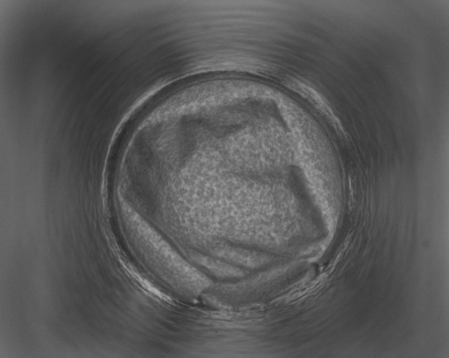 X0000082930780200702222218