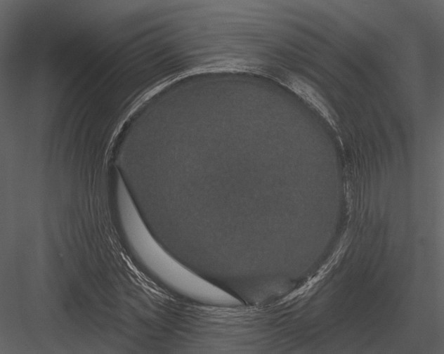 X0000082930781200702222218