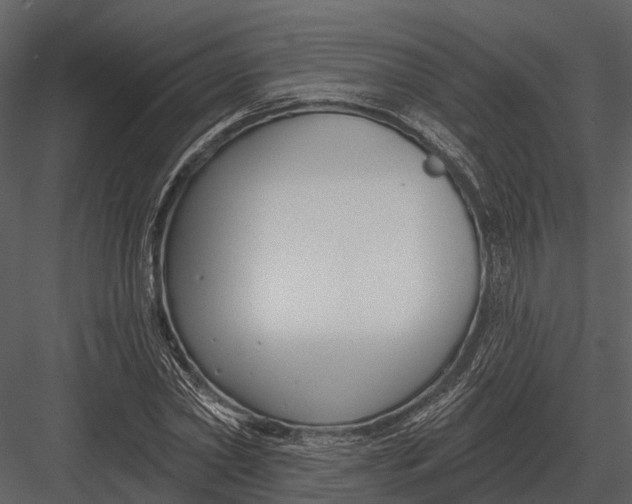 X0000082930782200702222218