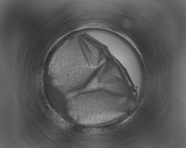 X0000082930783200702222218