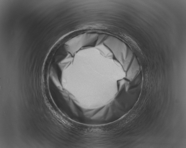 X0000082930784200702222218