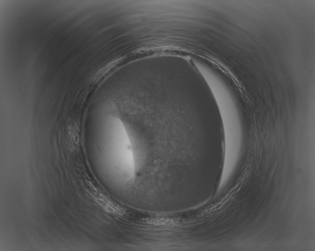 X0000082930785200702222218