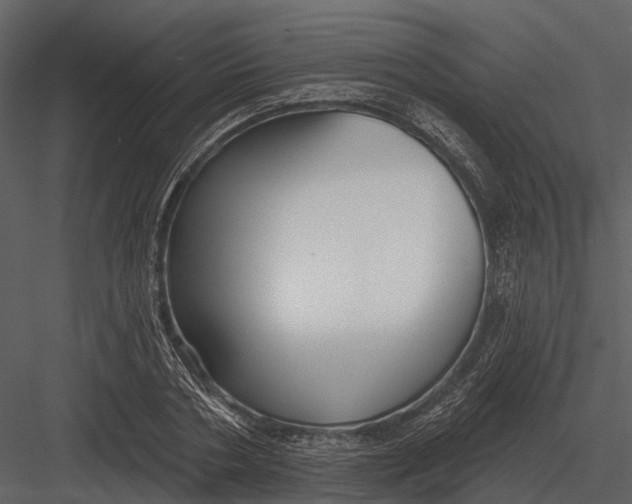 X0000082930786200702222218