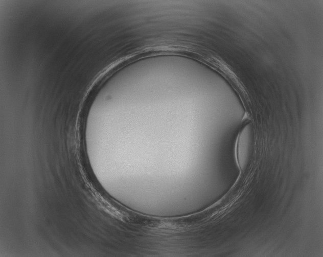 X0000082930787200702222218