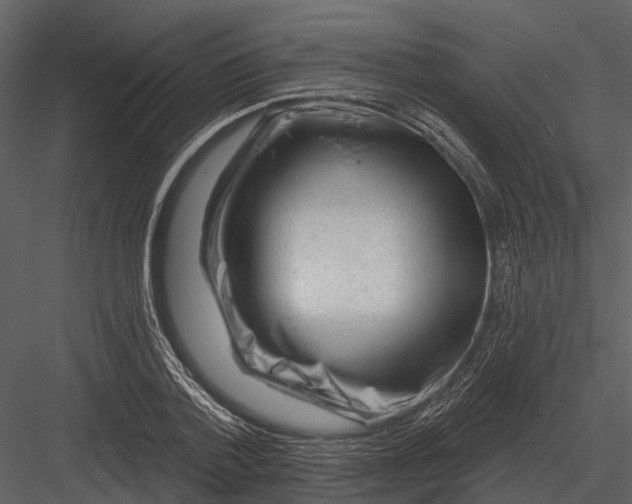 X0000082930788200702222218