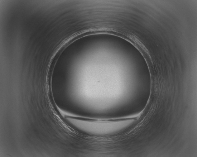 X0000082930789200702222218