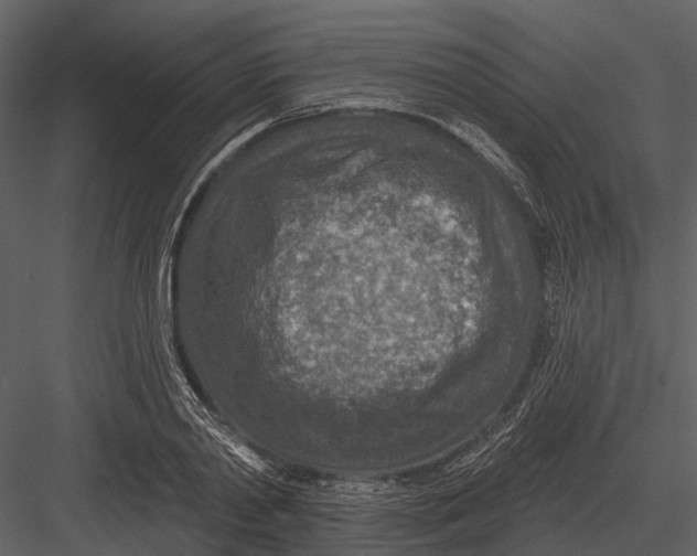 X0000082930790200702222218