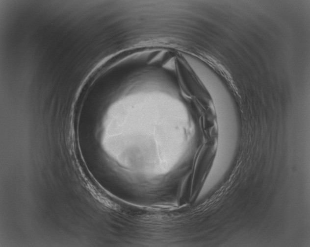 X0000082930792200702222218